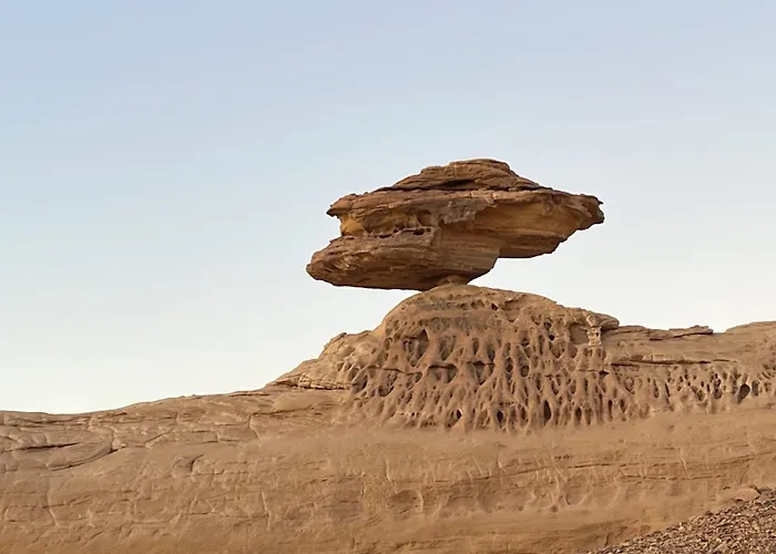 Alula2